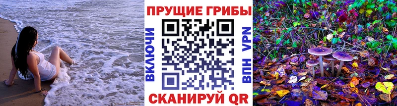 сколько стоит  Ивангород  Галлюциногенные грибы GOLDEN TEACHER 